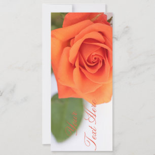 Orange Rose Add Your Text Flat Card