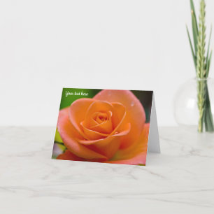 Orange Rose After the Rain Greeting card
