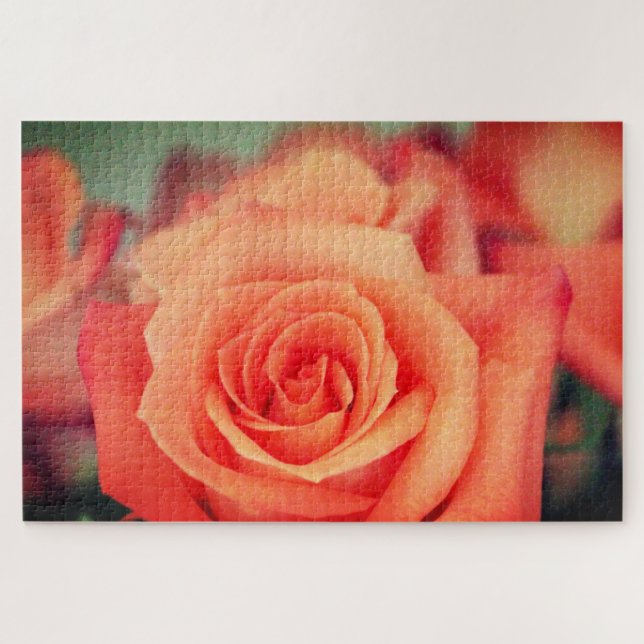 Orange Rose Bloom Jigsaw Puzzle (Horizontal)