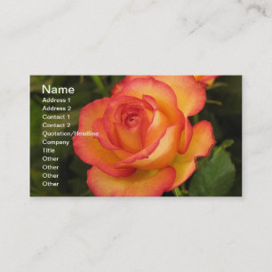 Orange Rose Business Card