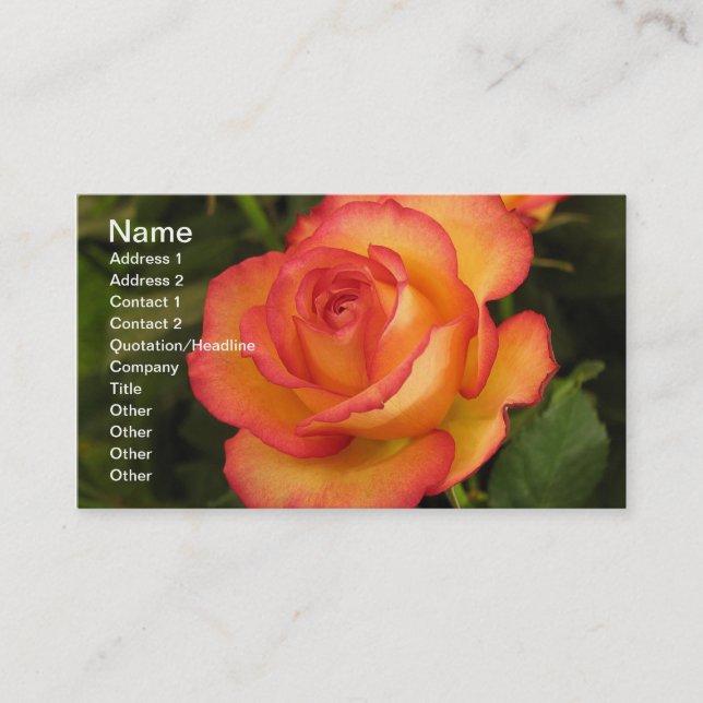 Orange Rose Business Card (Front)