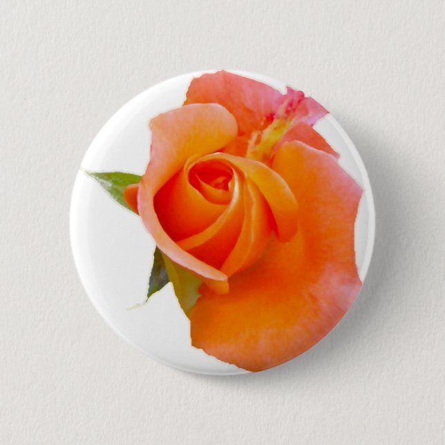 Orange Rose Button / Badge / Brooch (Front)