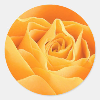 ORANGE ROSE CLASSIC ROUND STICKER