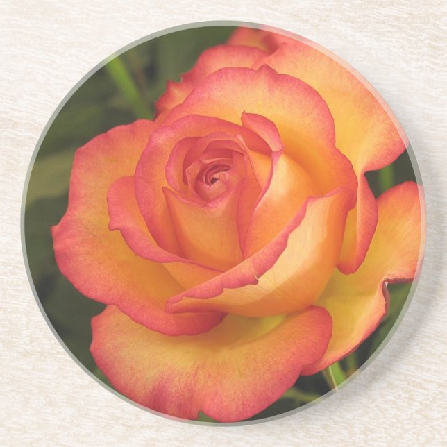 Orange Rose Coaster (Front)