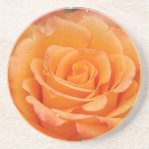 Orange rose coasters