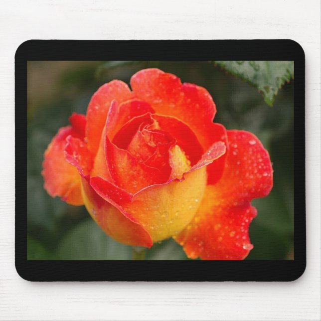 Orange Rose Floral Mouse Pad (Front)