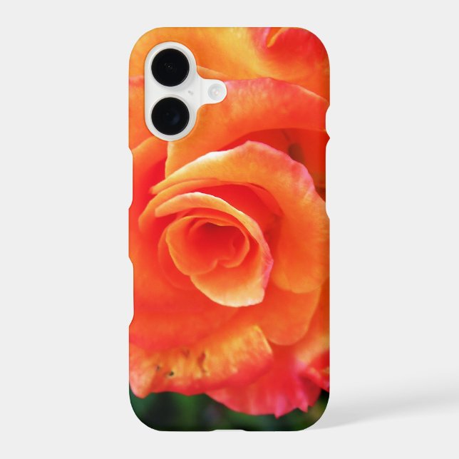 Orange rose flower (Back)