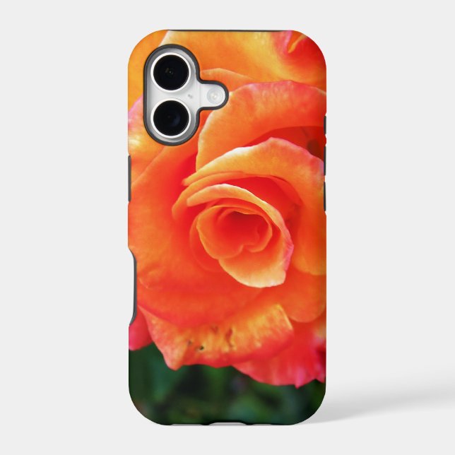 Orange rose flower (Back)