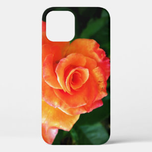 Orange rose flower iPhone 12 case