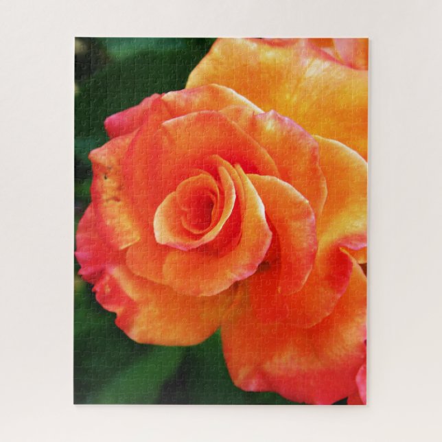 Orange rose flower jigsaw puzzle (Vertical)