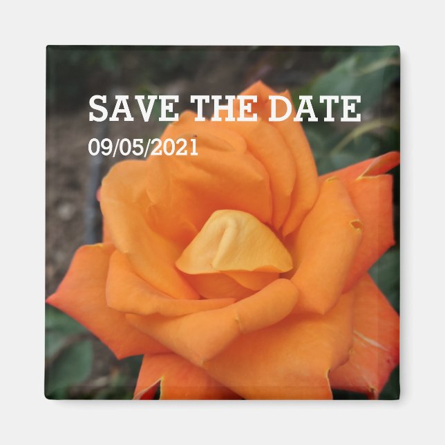 Orange rose flower magnet (Front)
