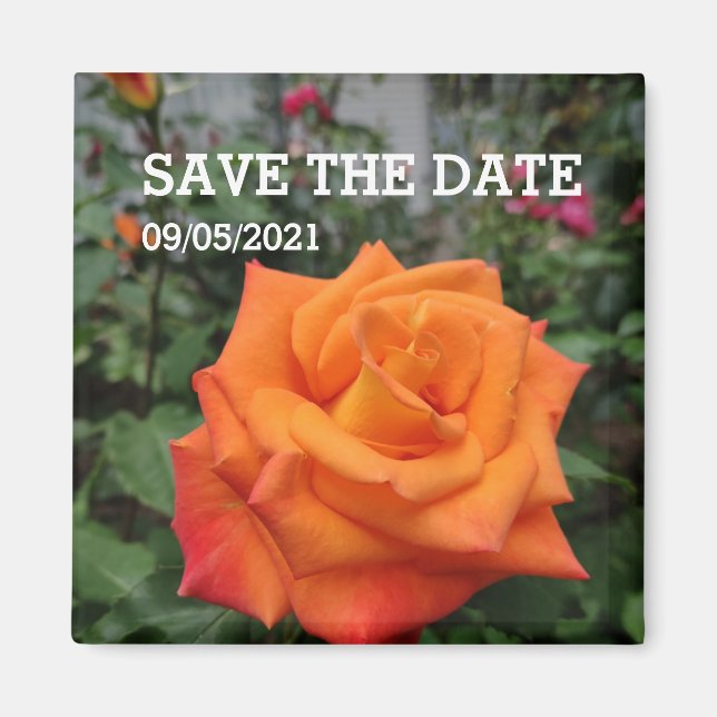 Orange rose flower magnet (Front)
