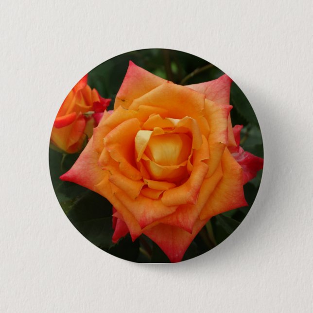 Orange Rose Flower Photo Round Badge (Front)