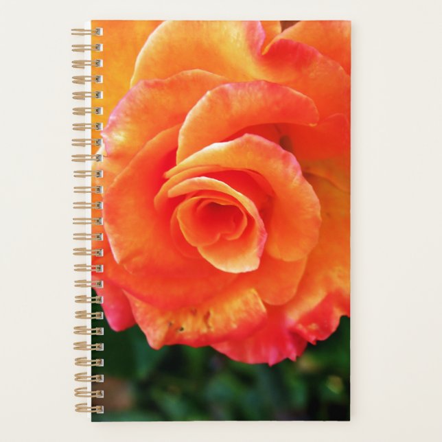Orange rose flower planner (Front)