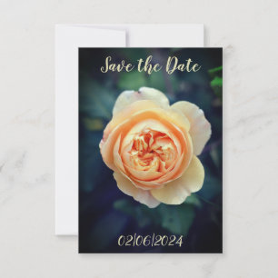 Orange Rose Flower Save the Date