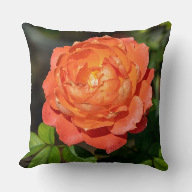 Orange rose flowers cushion (Front)