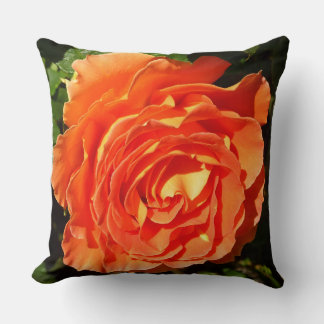 Orange Rose I Pretty Floral Cushion