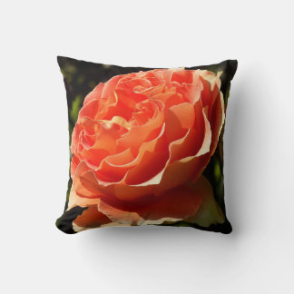 Orange Rose II Beautiful Floral Cushion