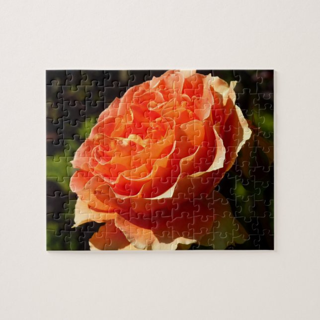 Orange Rose II Beautiful Floral Jigsaw Puzzle (Horizontal)