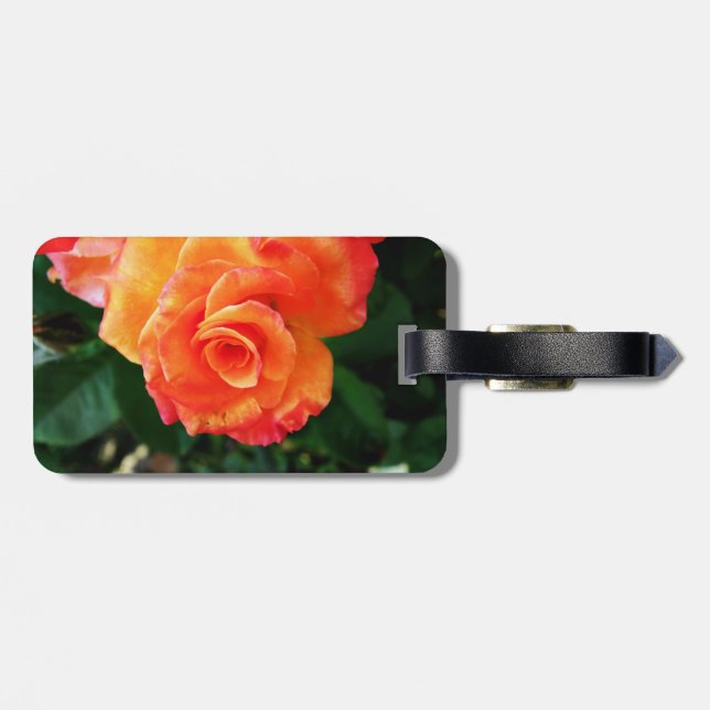 Orange rose luggage tag (Back Horizontal)