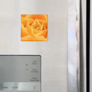 Orange Rose Magnet