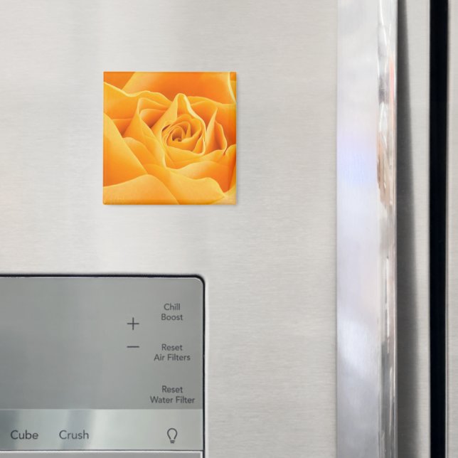 Orange Rose Magnet (In Situ (Fridge))