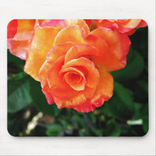 Orange rose mouse pad