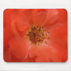 Orange Rose Mouse Pad