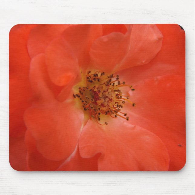 Orange Rose Mouse Pad (Front)