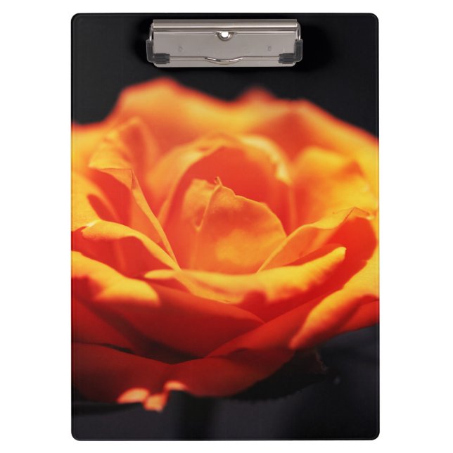 Orange rose on black clipboard (Front)