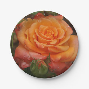 Orange Rose Paper Plate