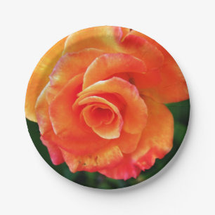 Orange rose paper plate