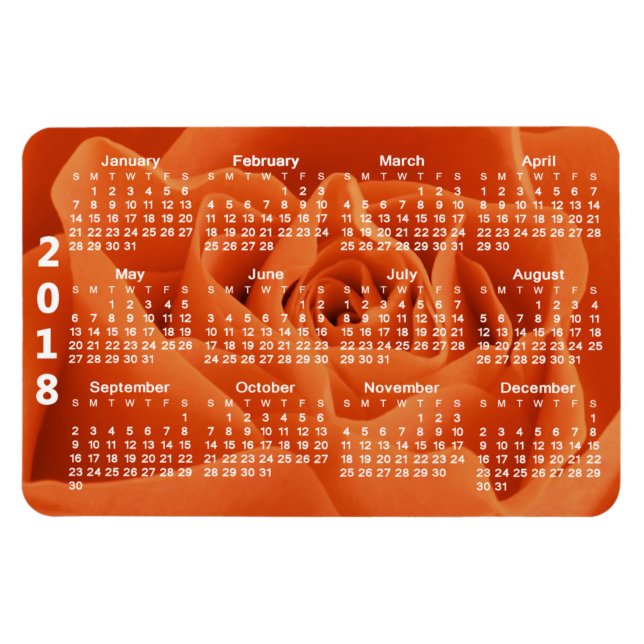 Orange Rose Petals 2018 Calendar Magnet (Horizontal)