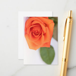Orange Rose Petals Flower Floral Enclosure Card