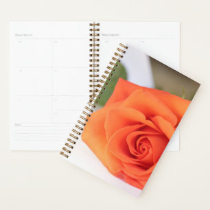 Orange Rose Petals Flower Floral Planner
