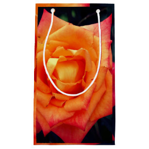 Orange Rose photo Gift Bag
