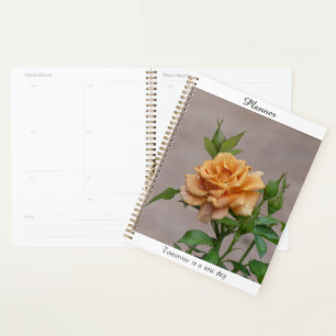 Orange Rose Planner