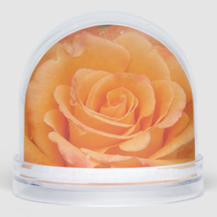 Orange Rose Snow Globe