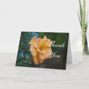 Orange Rose Thank You Card