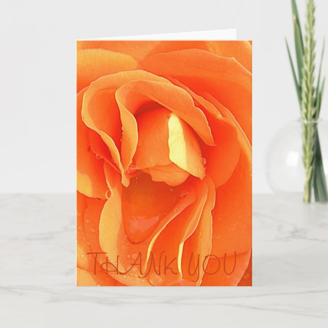 Orange Rose, THANK YOU Card (Front)