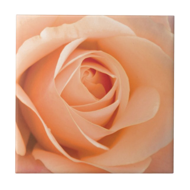 Orange Rose Tile (Front)