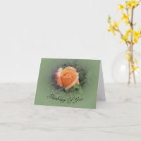 Orange Rosebud