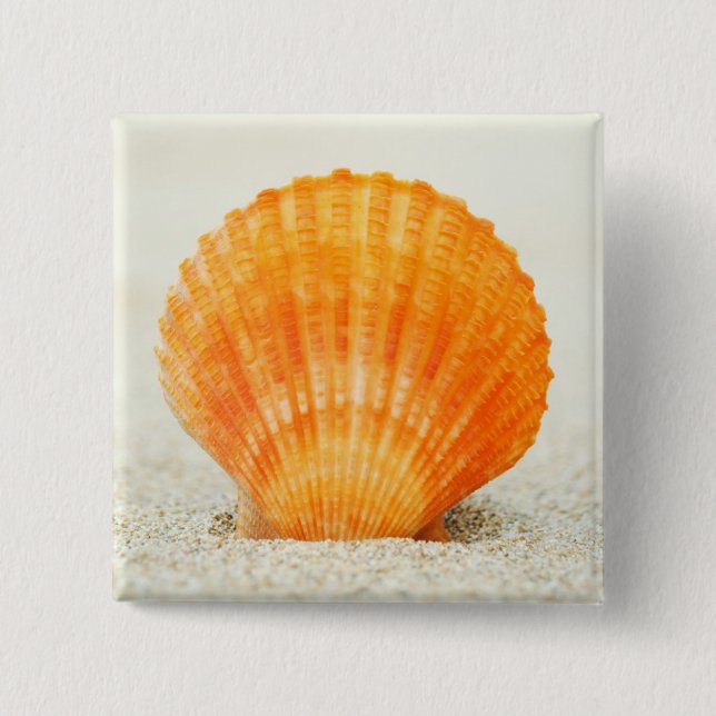 Orange Scallop Shell Standing Upright In Sand 15 Cm Square Badge (Front)