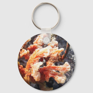 Orange Sea Sponge Key Ring