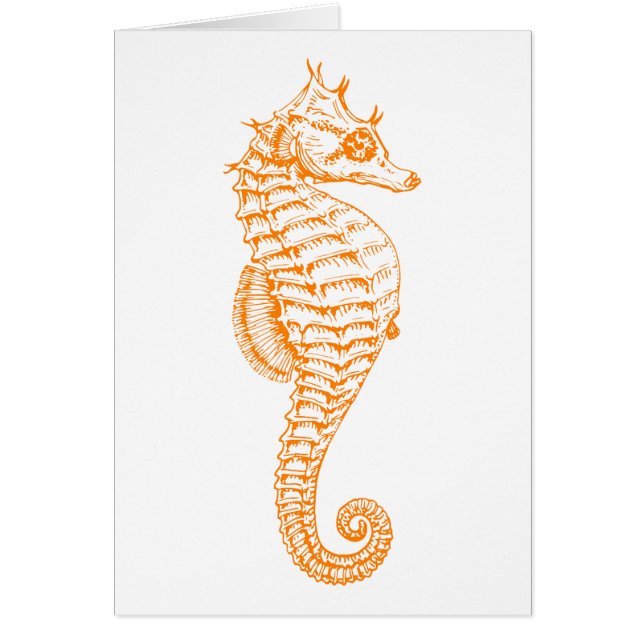 Orange Seahorse (Front)