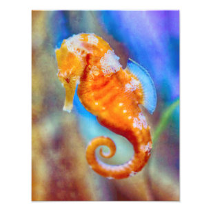 Orange Seahorse delight Photo Print