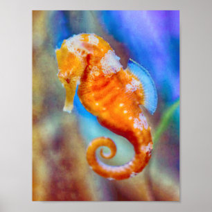 Orange Seahorse delight Poster