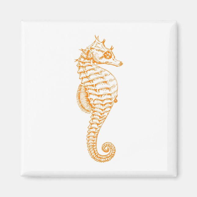 Orange Seahorse Magnet (Front)