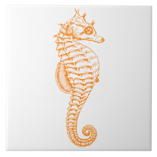 Orange Seahorse Tile (Front)