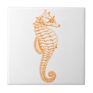 Orange Seahorse Tile
